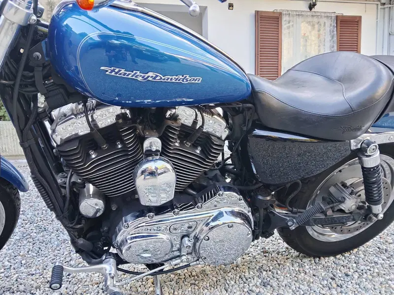 Harley-Davidson 1200 Custom (2007 - 13) - XL 1200C (10)