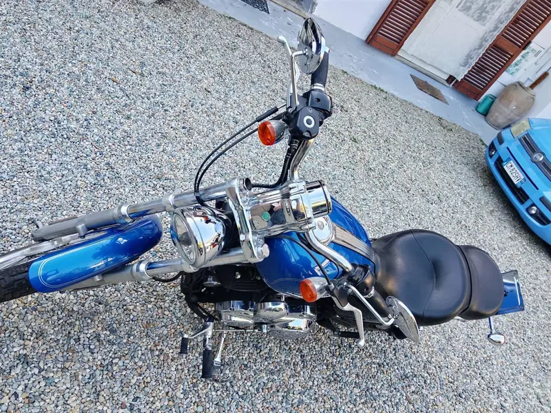 Harley-Davidson 1200 Custom (2007 - 13) - XL 1200C (11)