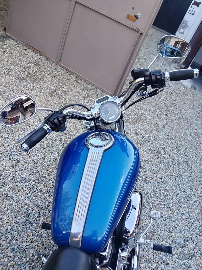 Harley-Davidson 1200 Custom (2007 - 13) - XL 1200C (12)