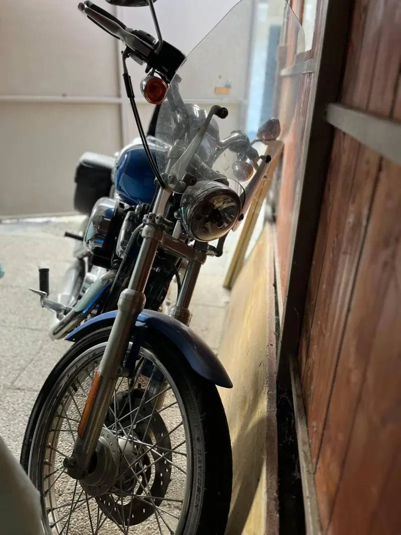 Harley-Davidson 1200 Custom (2007 - 13) - XL 1200C (19)