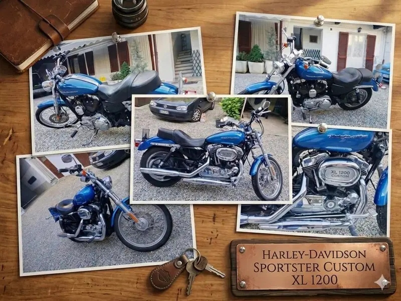Harley-Davidson 1200 Custom (2007 - 13) - XL 1200C