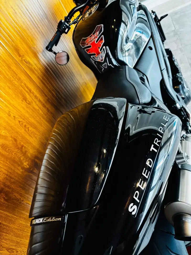 Triumph Speed Triple 955 (2002 - 04) (2)