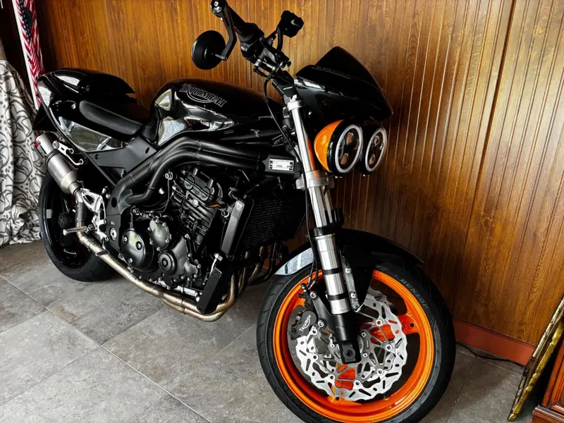 Triumph Speed Triple 955 (2002 - 04) (4)