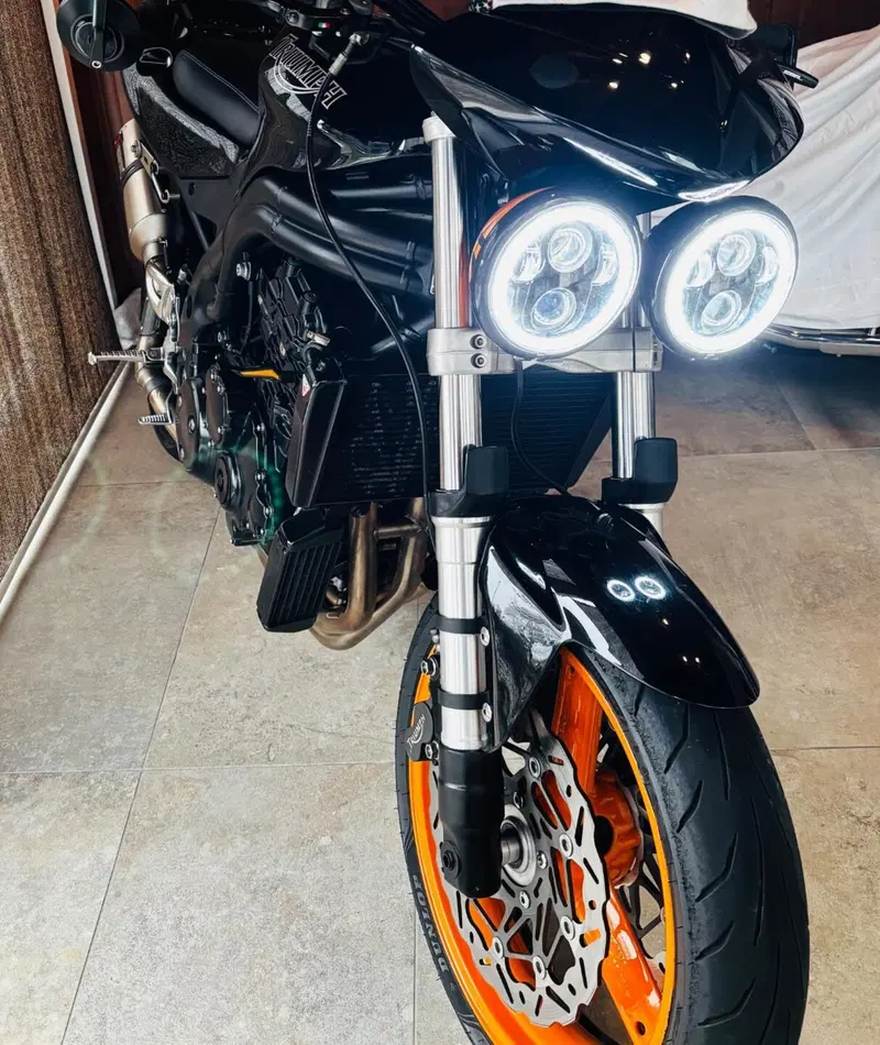 Triumph Speed Triple 955 (2002 - 04) (6)