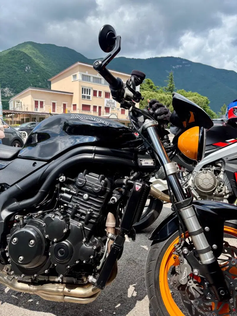 Triumph Speed Triple 955 (2002 - 04) (7)