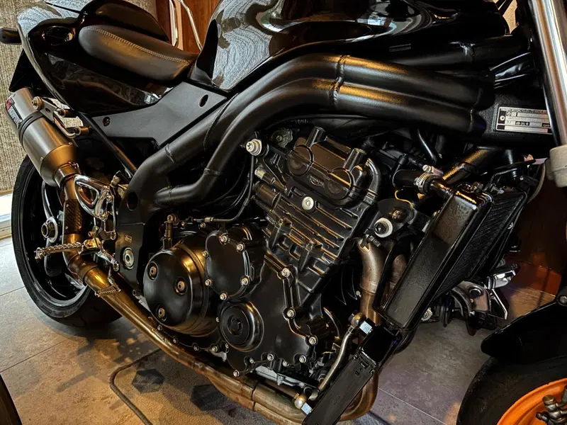 Triumph Speed Triple 955 (2002 - 04) (9)