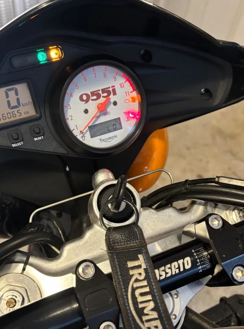 Triumph Speed Triple 955 (2002 - 04) (10)