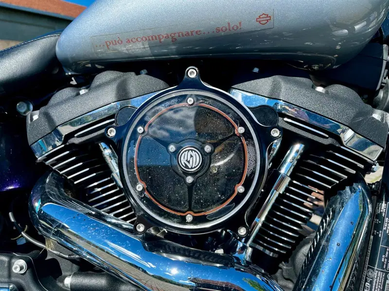 Harley-Davidson 107 Sport Glide (2018 - 20) (5)