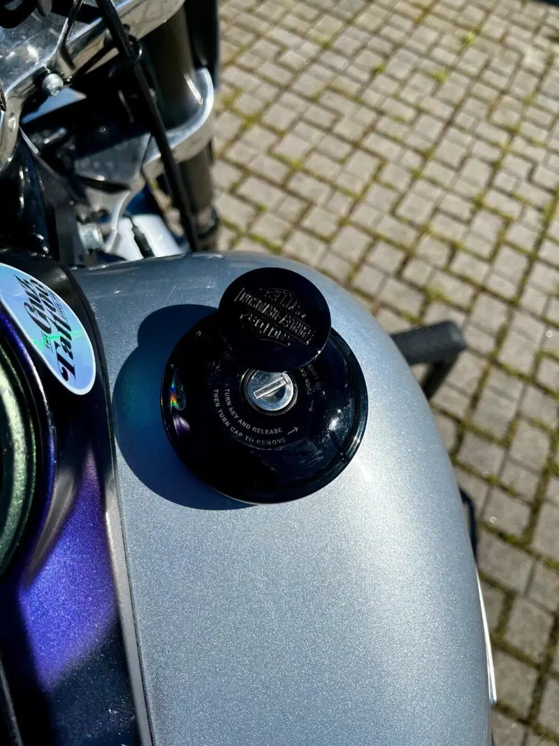 Harley-Davidson 107 Sport Glide (2018 - 20) (6)