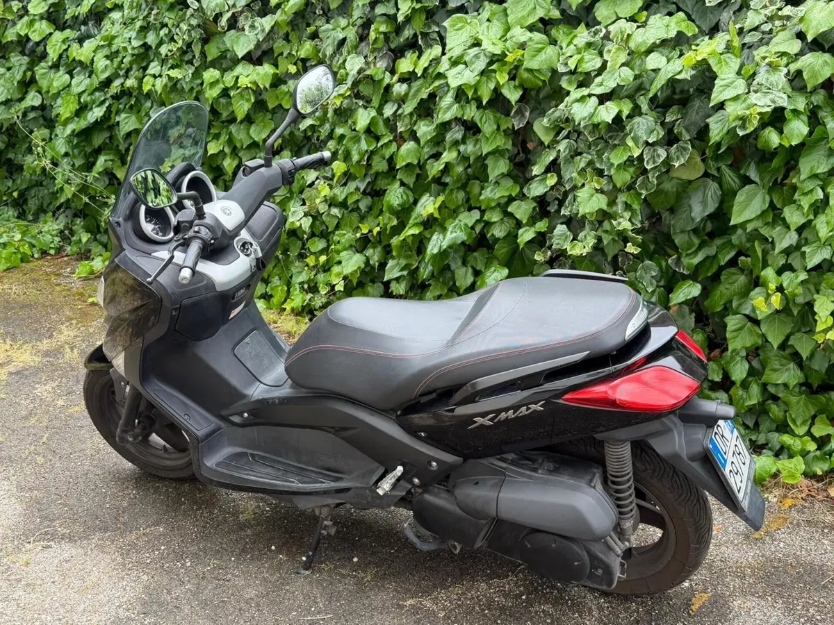 Yamaha X-Max 250 (2010 - 13) (9)