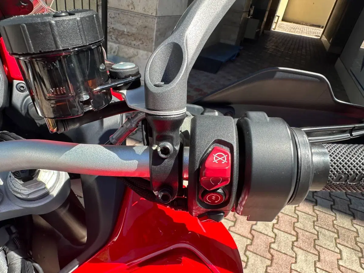 Ducati Multistrada V4 Rally (2023 - 25) (15)