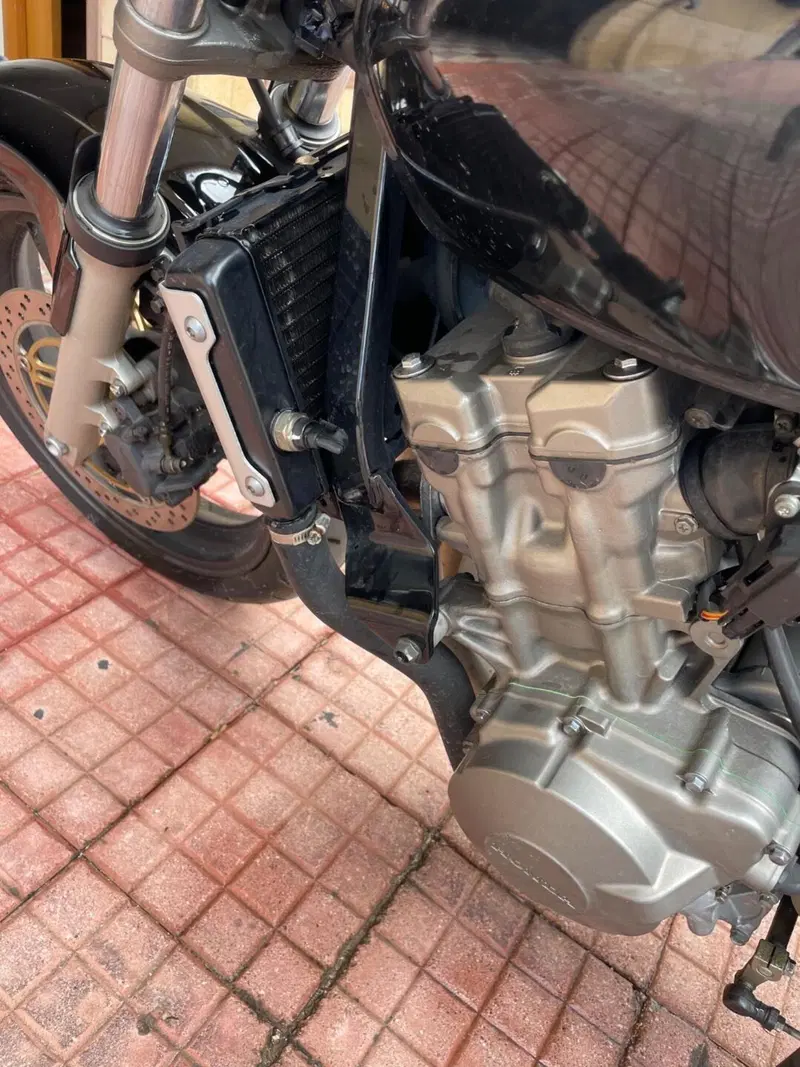 Honda Hornet 600 (2000 - 02) (17)
