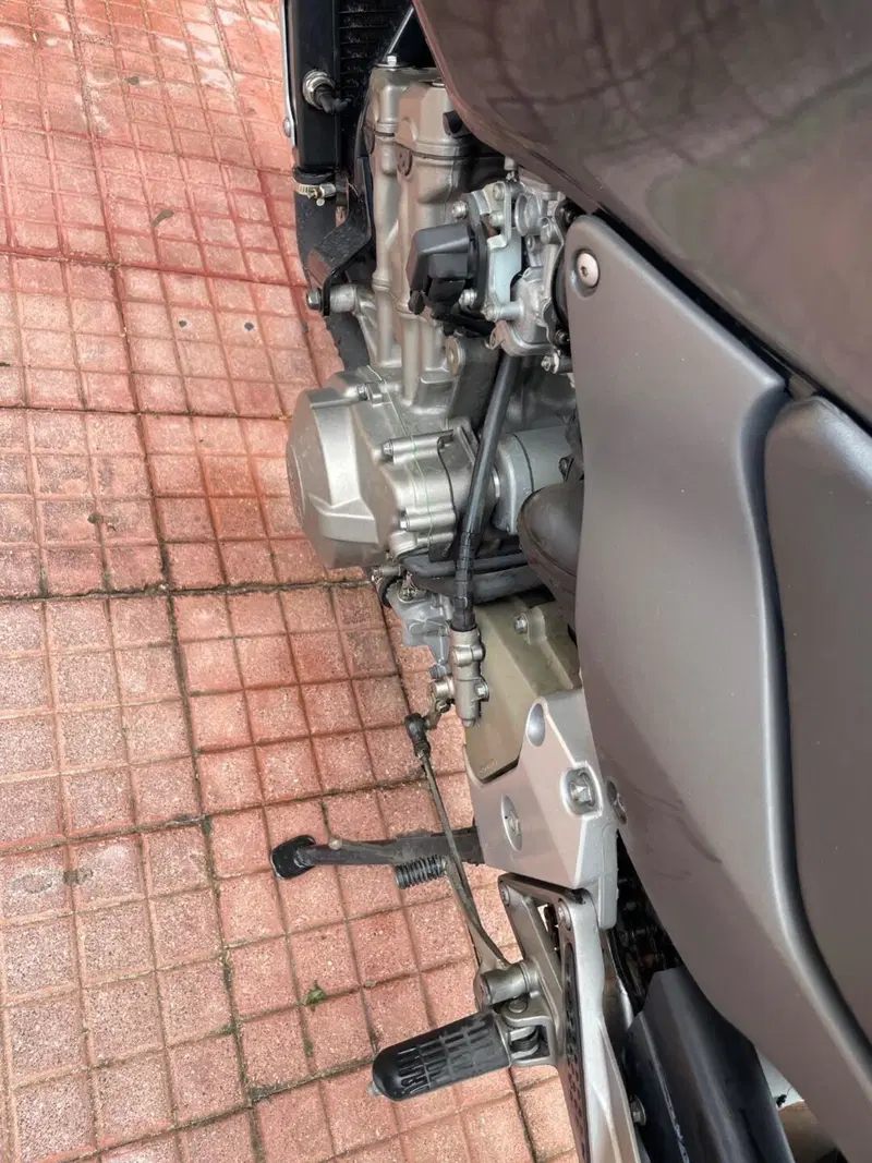 Honda Hornet 600 (2000 - 02) (18)