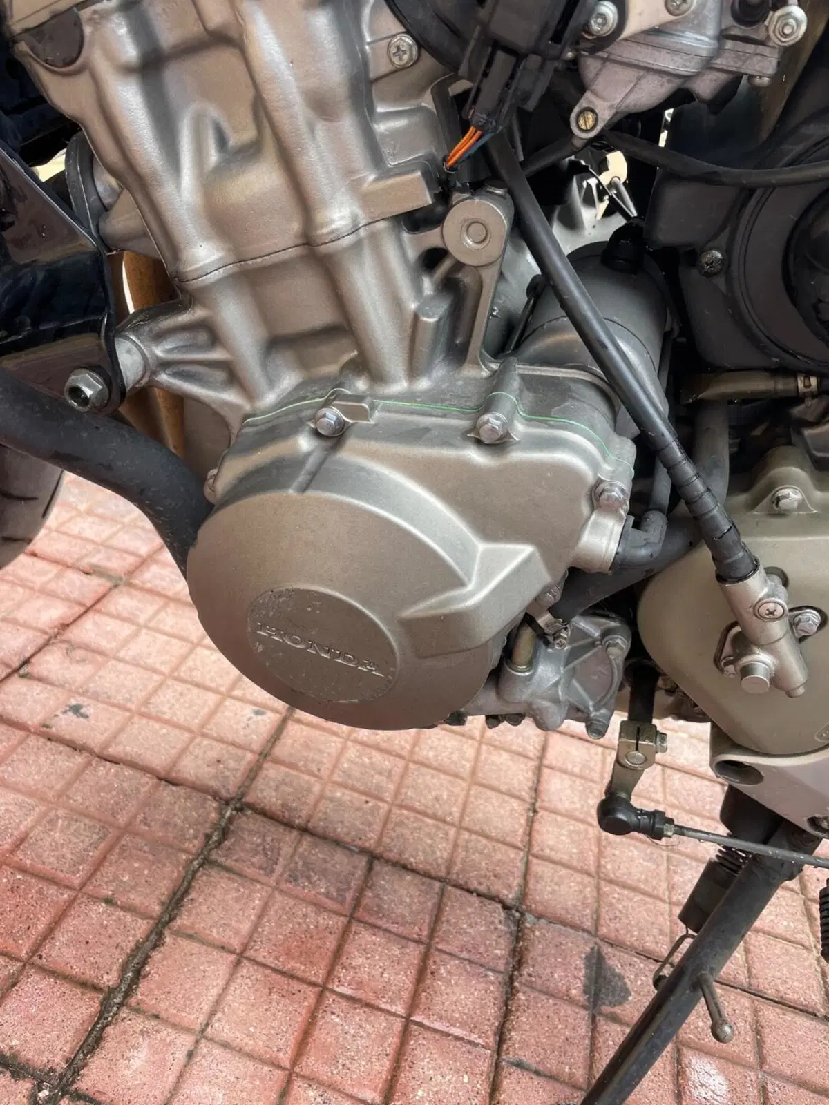 Honda Hornet 600 (2000 - 02) (19)