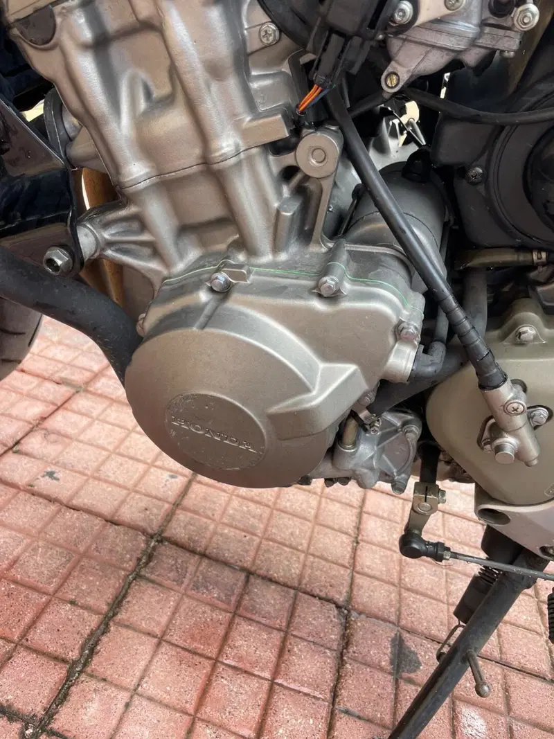 Honda Hornet 600 (2000 - 02) (19)