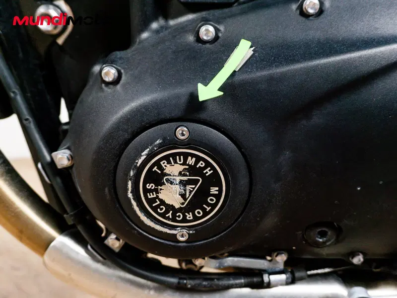 Triumph Speed Twin 900 (2023 - 24) (13)