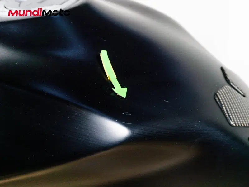 Ducati Monster 797 (2017 - 18) (12)