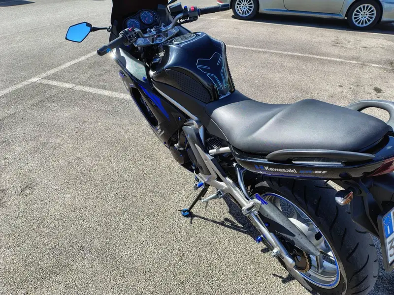 Kawasaki ER-6F (2006 - 08) (6)