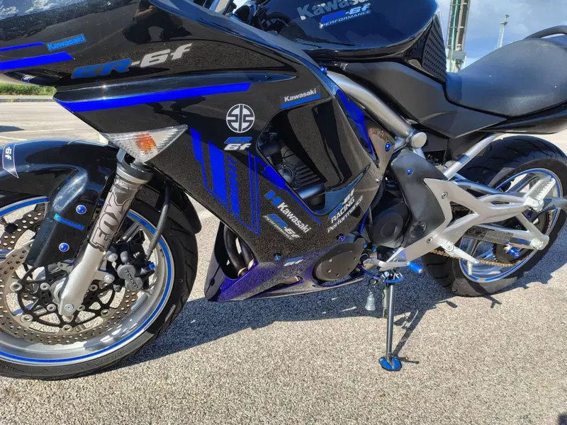Kawasaki ER-6F (2006 - 08) (7)