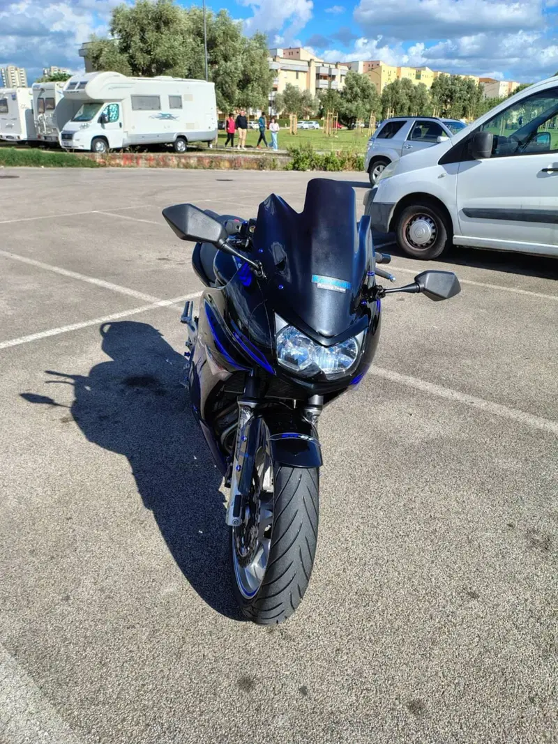 Kawasaki ER-6F (2006 - 08) (8)