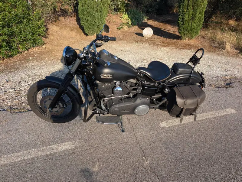 Harley-Davidson 1584 Street Bob (2008 - 15) - FXDB (5)