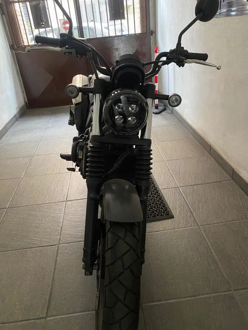 Honda CL500 (2023 - 24) (3)
