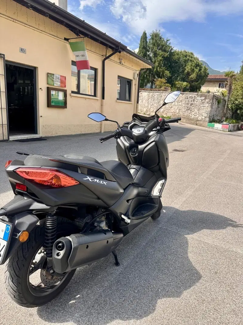 Yamaha X-Max 300 ABS (2017 - 20) (6)