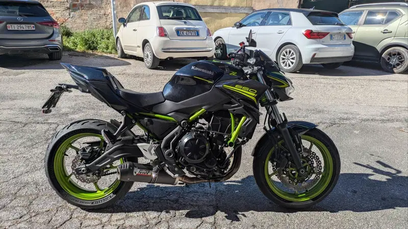 Kawasaki Z 650 (2021 - 24) (2)