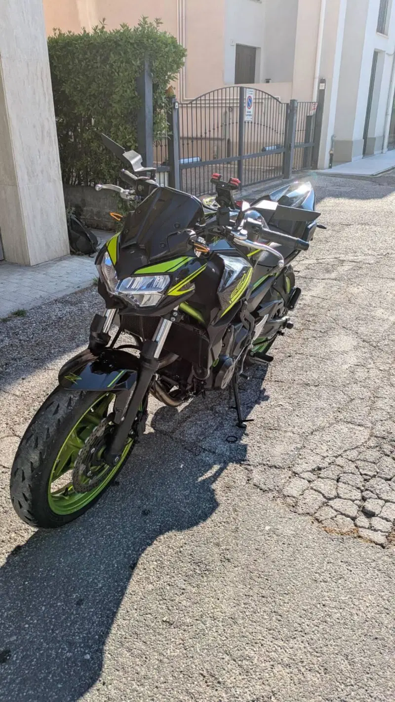 Kawasaki Z 650 (2021 - 24) (6)