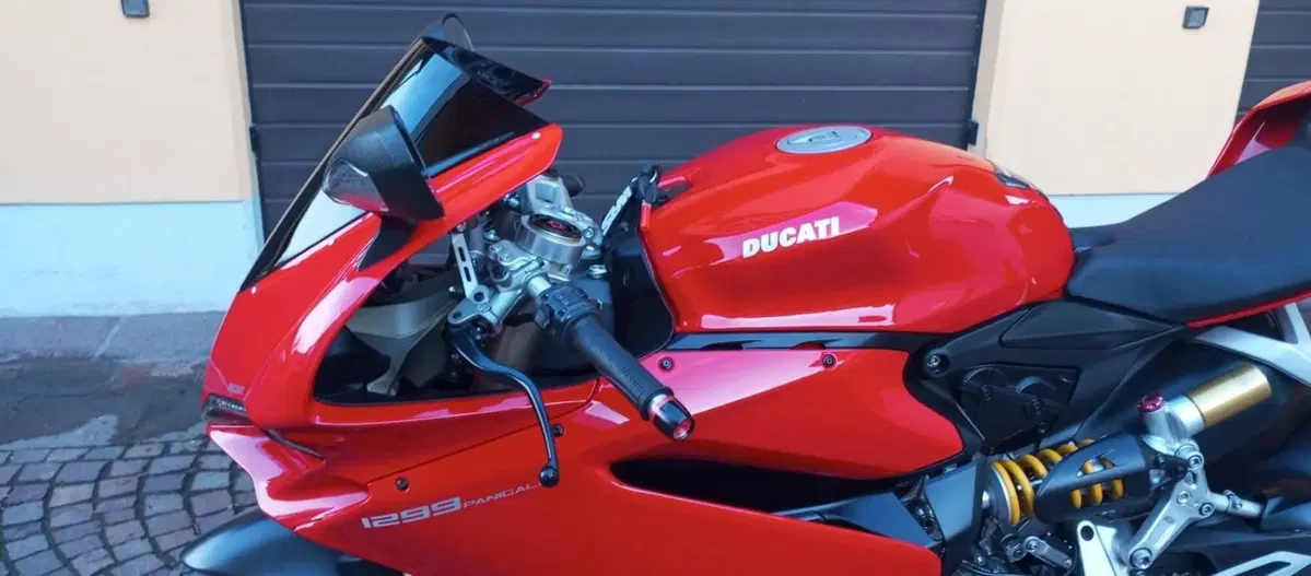 Ducati 1299 Panigale (2015 - 17) (12)