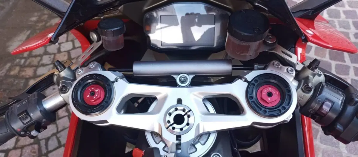 Ducati 1299 Panigale (2015 - 17) (17)