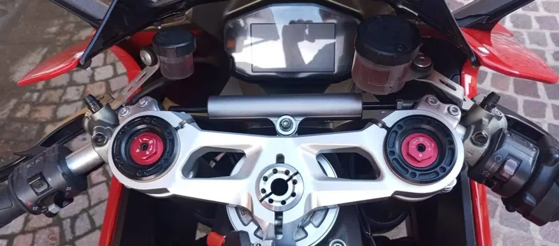 Ducati 1299 Panigale (2015 - 17) (17)