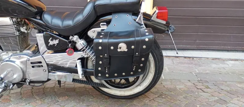 Suzuki SAVAGE 650 (7)