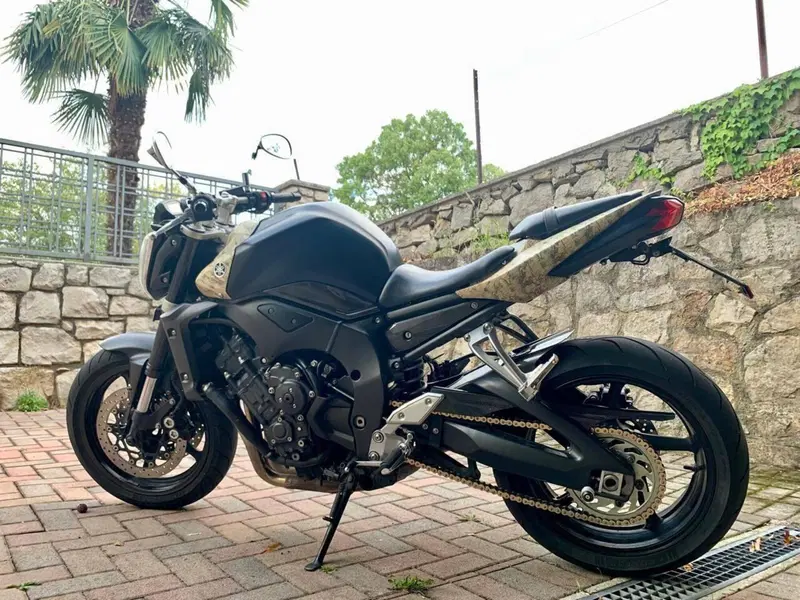 Yamaha FZ1 (2006 - 16) (2)
