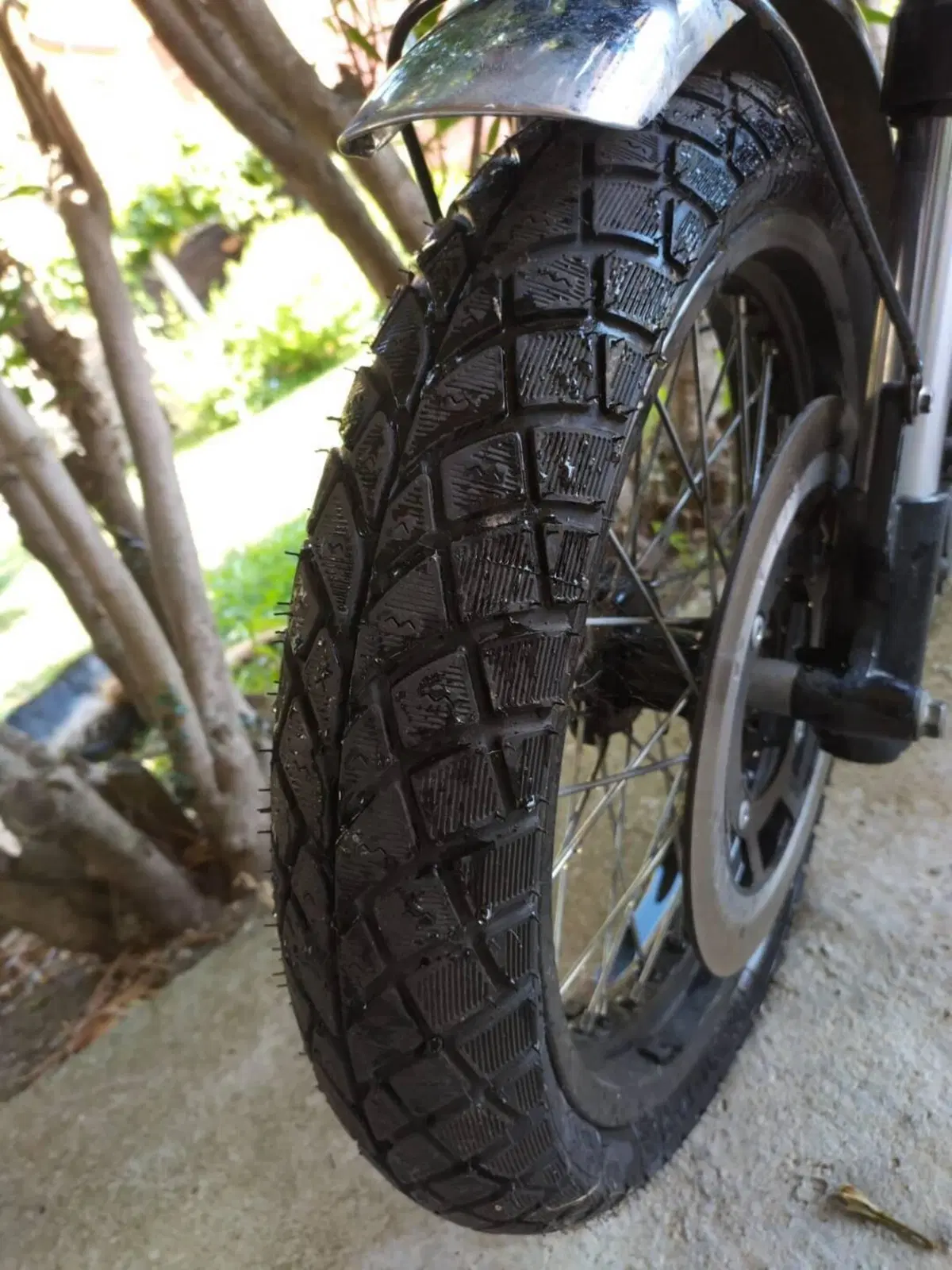 Mash Italia Cafè Racer 250 (2015 - 16) (5)