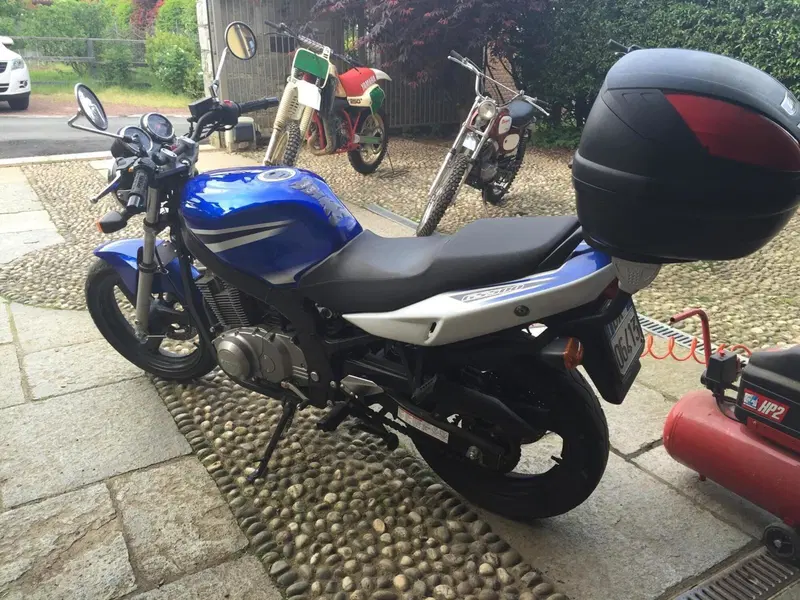 Suzuki GS 500 (2001 - 06) (4)