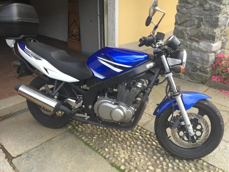 Suzuki GS 500 (2001 - 06) (7)