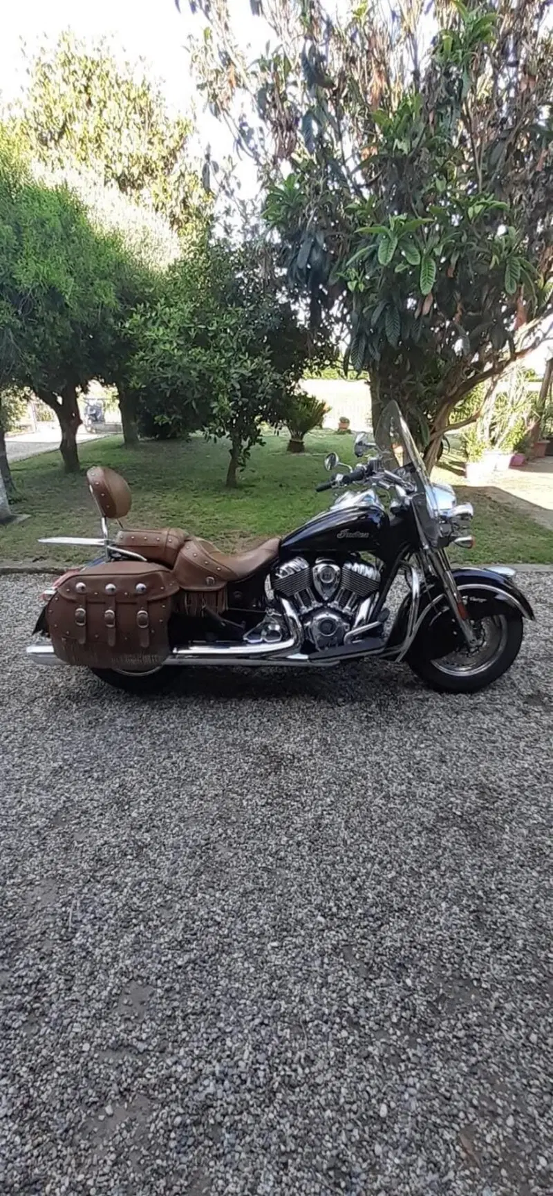 Indian Chief Vintage (2021) (2)