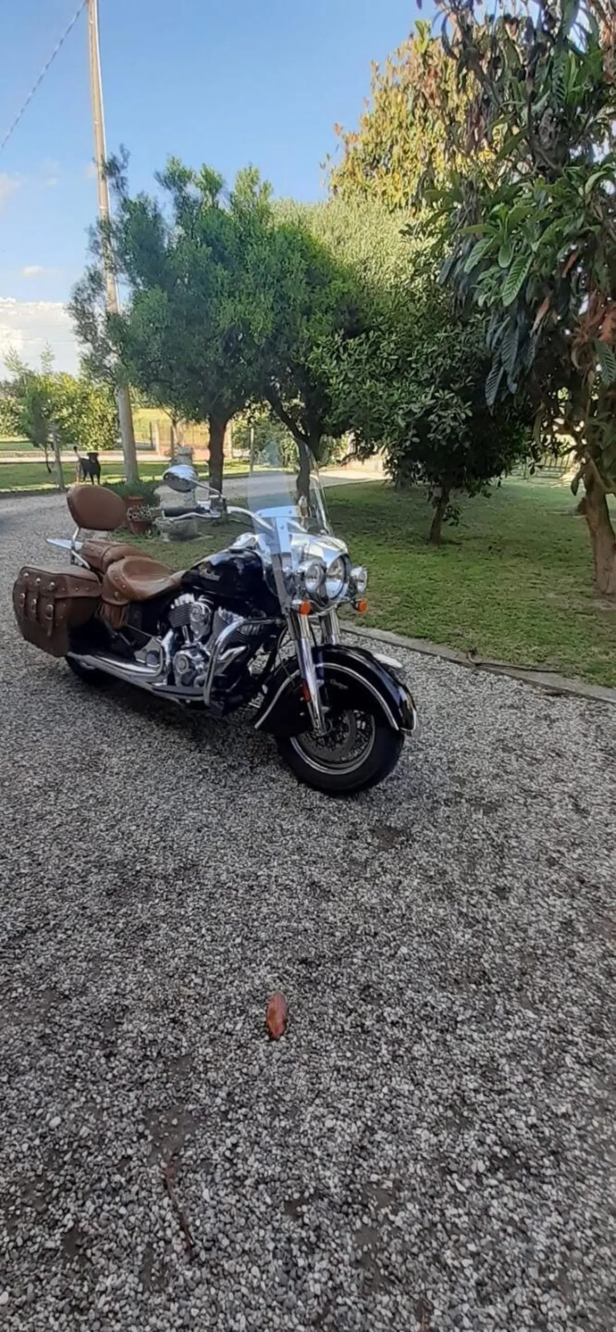 Indian Chief Vintage (2021) (4)