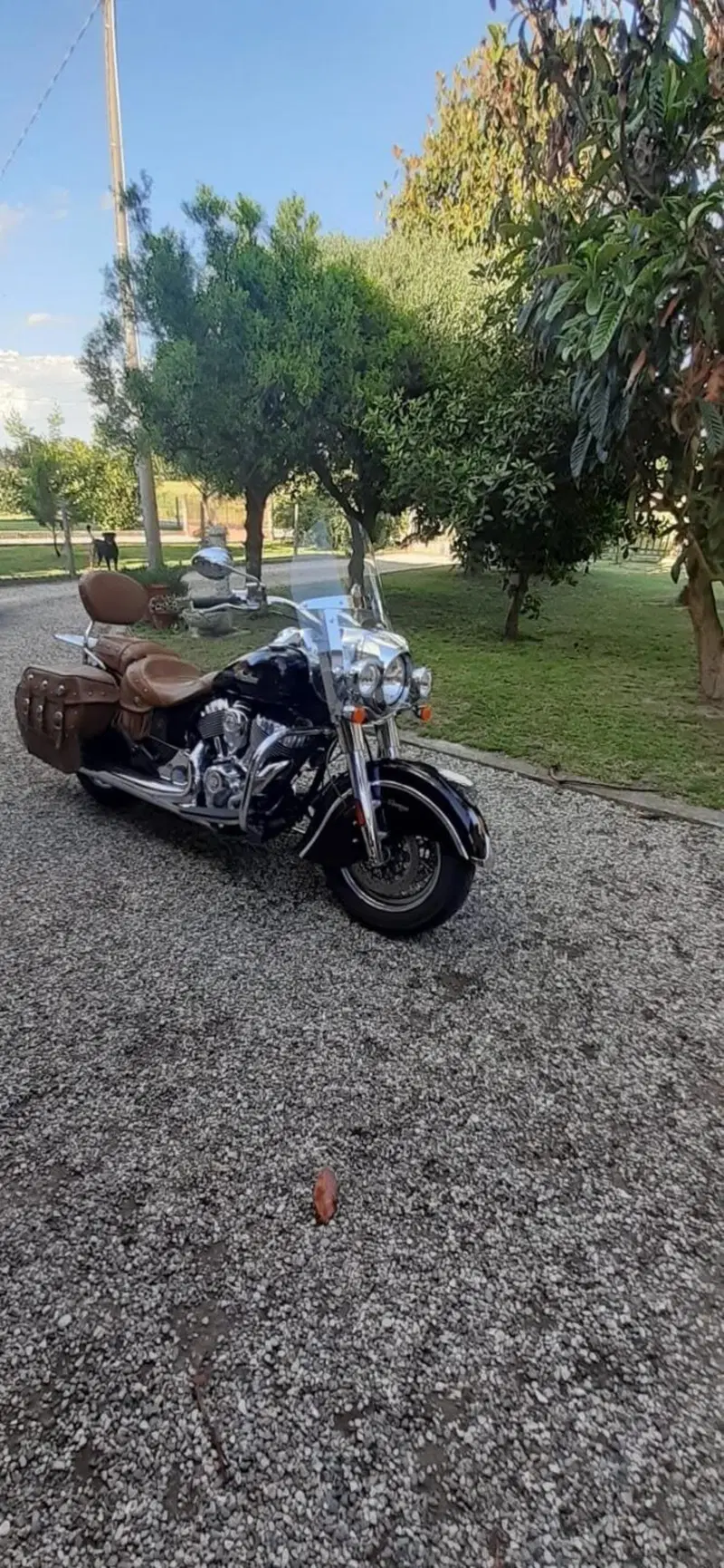 Indian Chief Vintage (2021) (3)