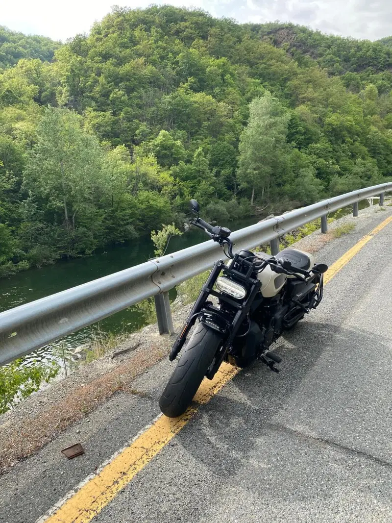 Harley-Davidson Sportster S (2022 - 24) (9)