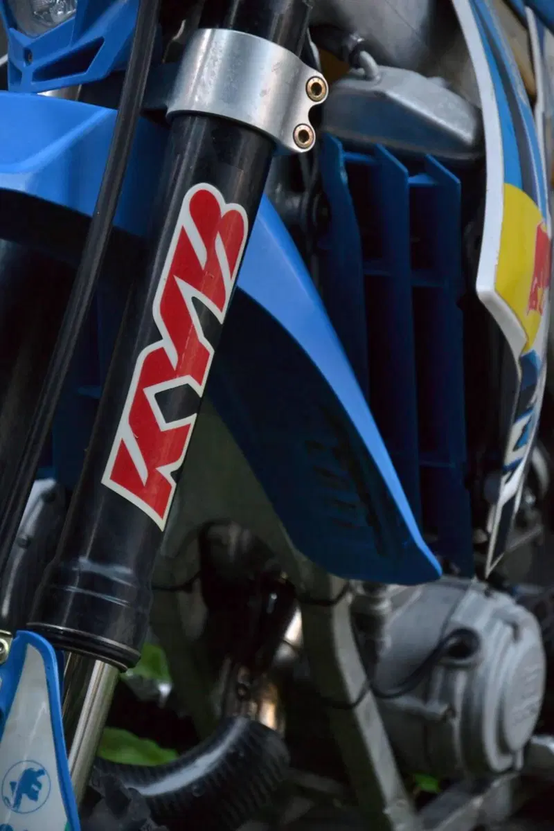 Tm Moto EN 125 (2017) (6)