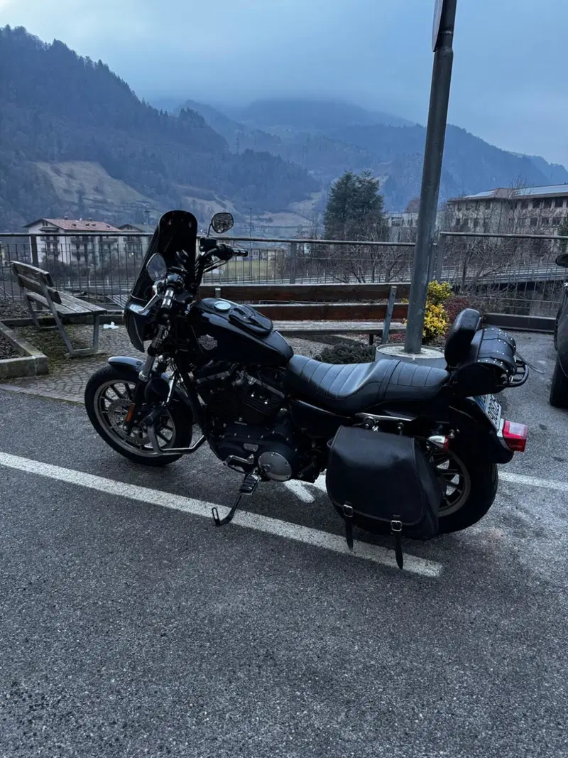 Harley-Davidson 883 R (2008 - 16) - XL 883R (3)
