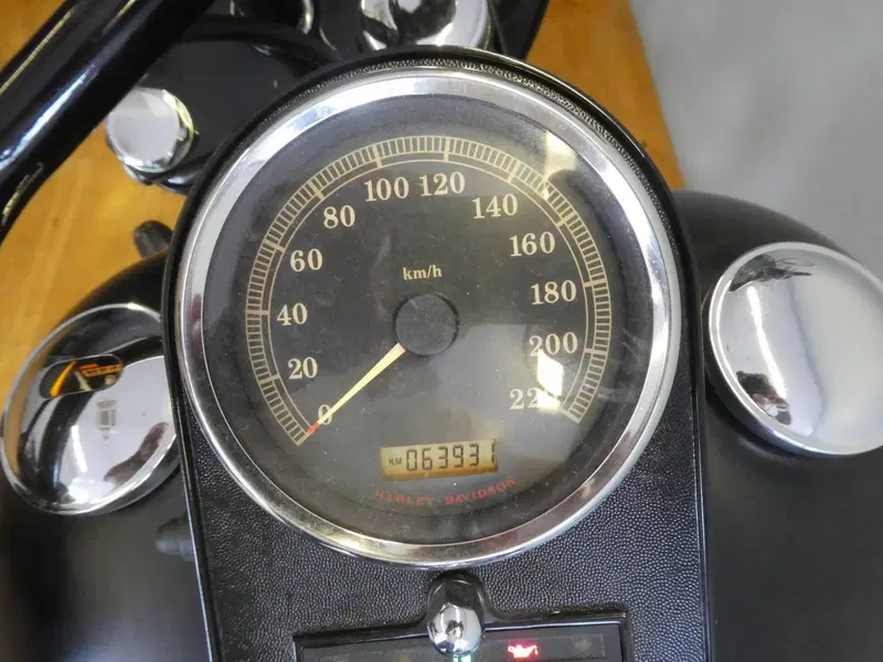 Harley-Davidson 1584 Night Train (2006 - 07) - FXSTB (2)