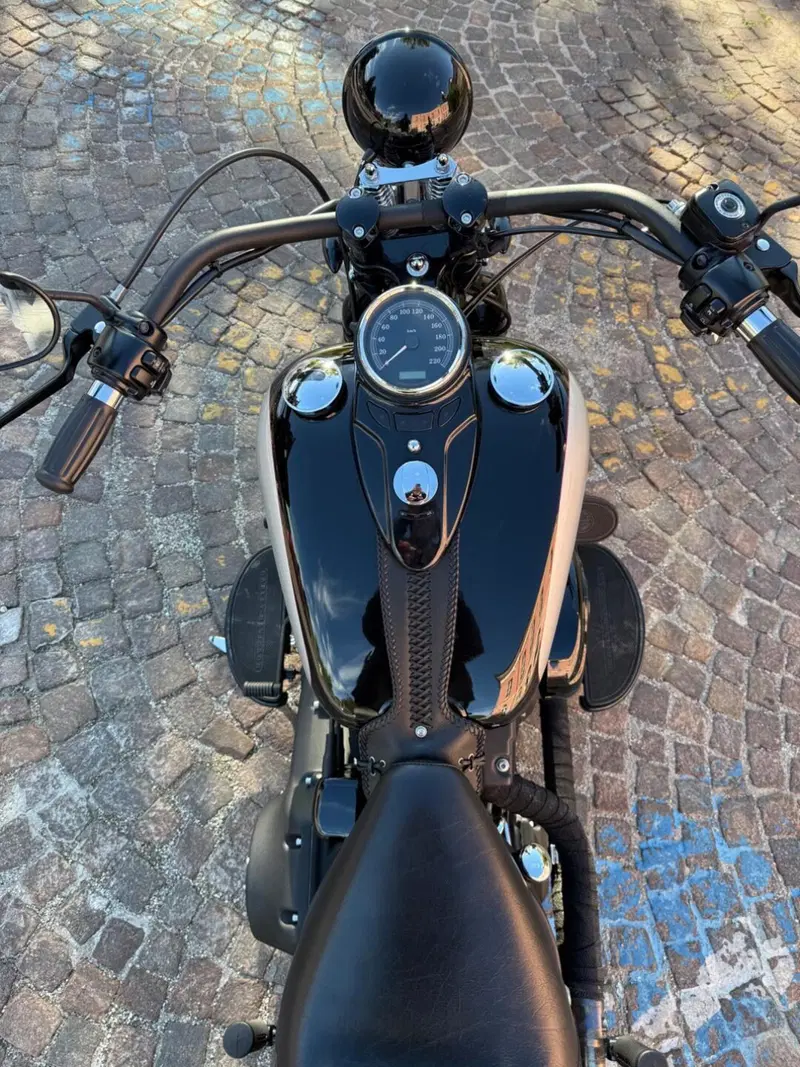 Harley-Davidson 1584 Cross Bones (2008 - 11) - FLSTSB (5)