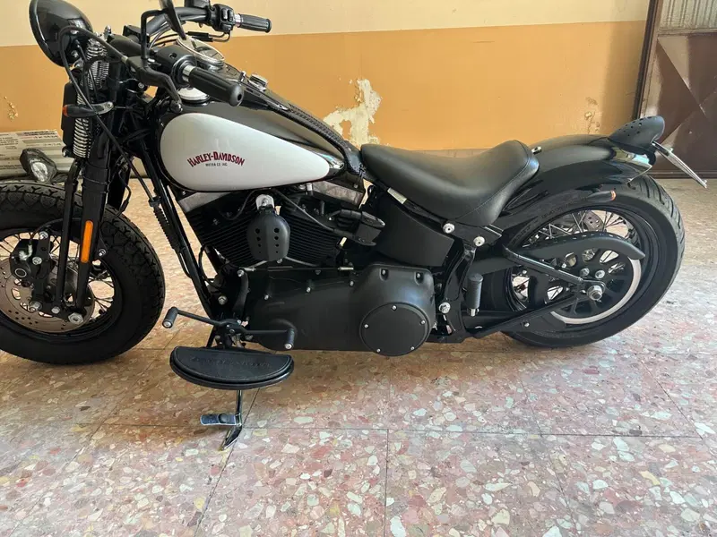 Harley-Davidson 1584 Cross Bones (2008 - 11) - FLSTSB (9)