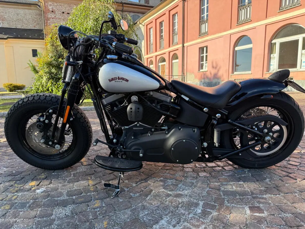 Harley-Davidson 1584 Cross Bones (2008 - 11) - FLSTSB