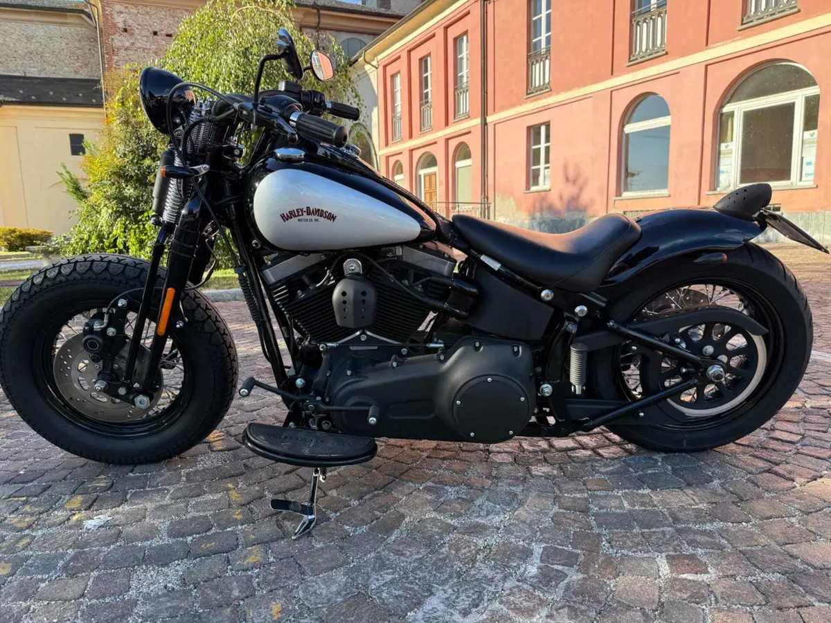 Harley-Davidson 1584 Cross Bones (2008 - 11) - FLSTSB (2)