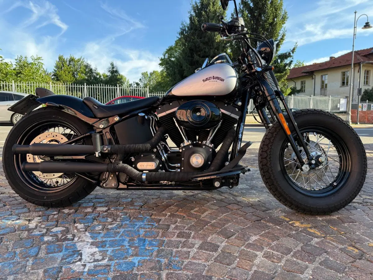 Harley-Davidson 1584 Cross Bones (2008 - 11) - FLSTSB (3)