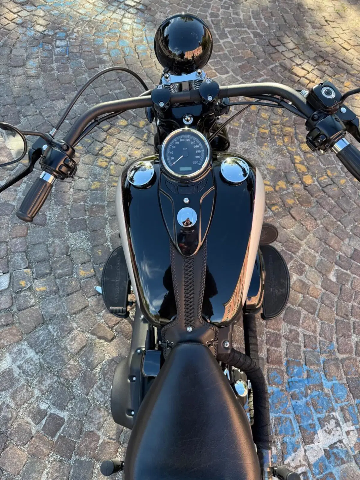 Harley-Davidson 1584 Cross Bones (2008 - 11) - FLSTSB (4)
